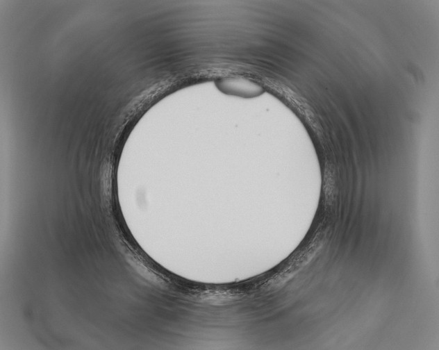 X0000112200445200909181537