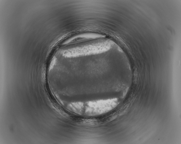 X0000112200446200909181537