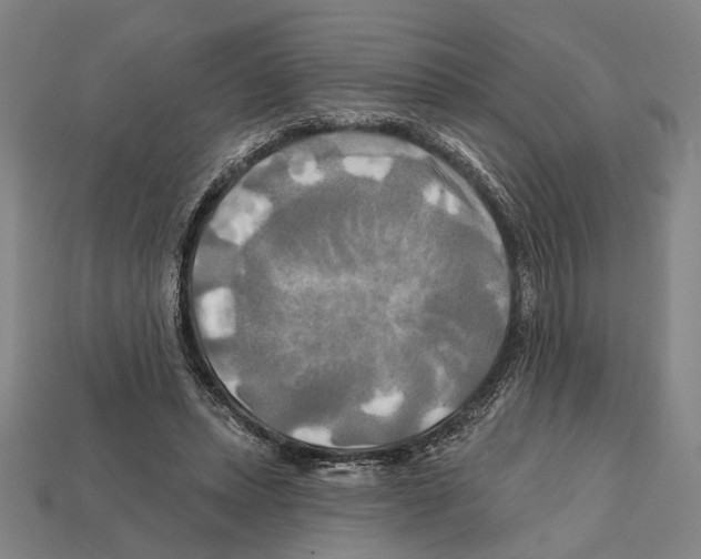 X0000112200447200909181537