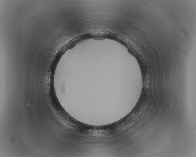 X0000112200448200909181537