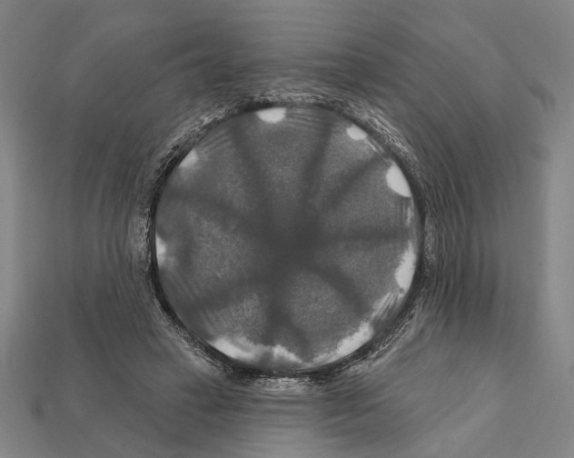 X0000112200449200909181537