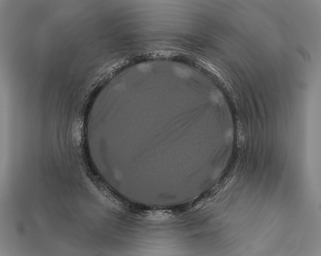 X0000112200451200909181537