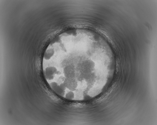 X0000112200453200909181537