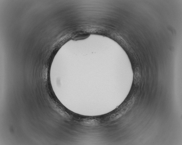 X0000112200454200909181537