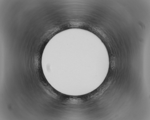 X0000112200455200909181537