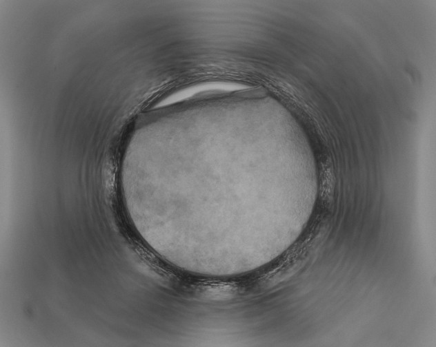 X0000112200456200909181537