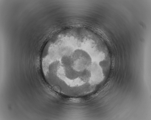 X0000112200457200909181537
