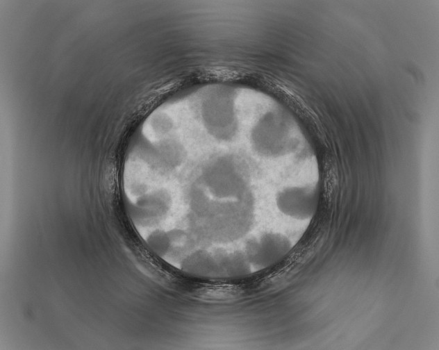 X0000112200459200909181537