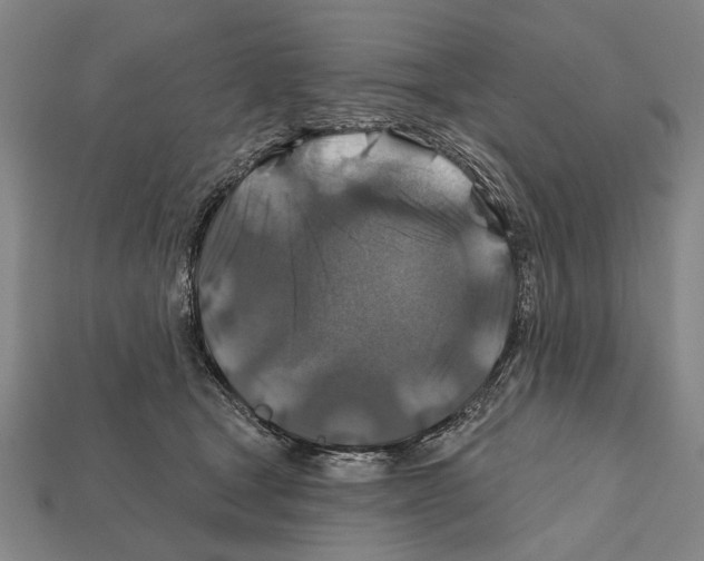 X0000112200465200909181537