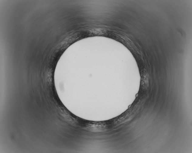 X0000112200466200909181537