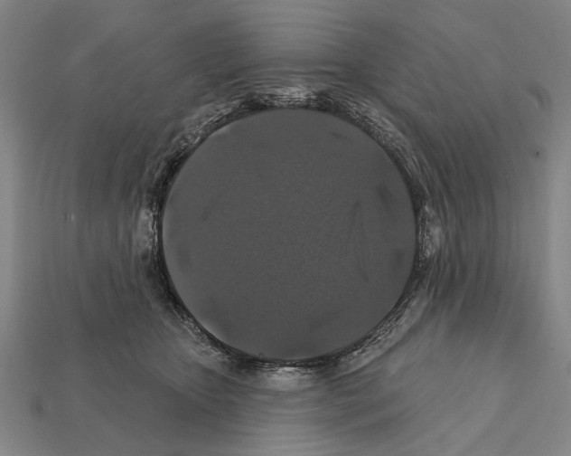 X0000112200467200909181537