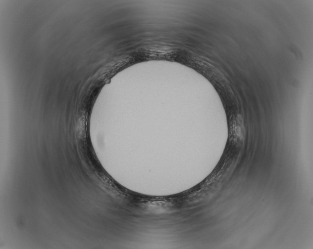 X0000112200468200909181537