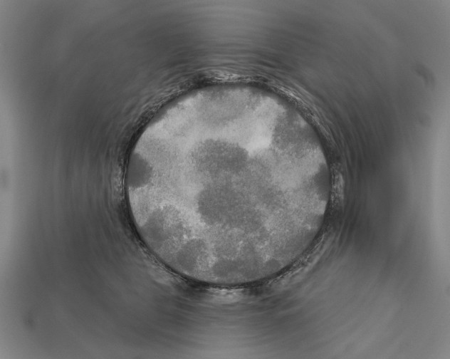 X0000112200469200909181537