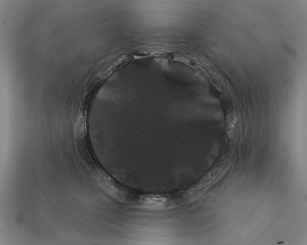 X0000112200471200909181537