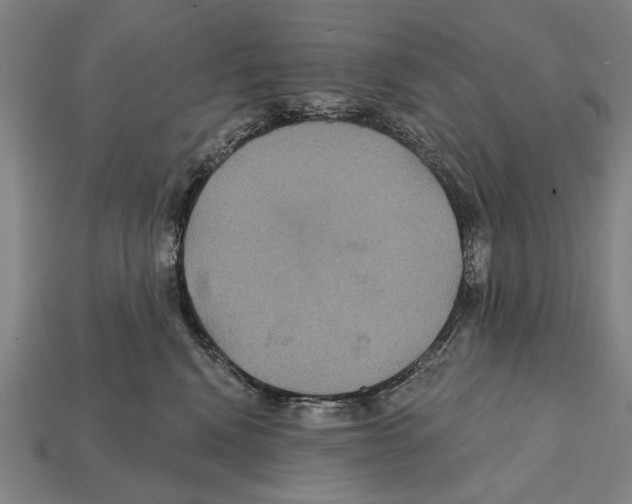 X0000112200472200909181537