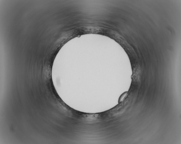 X0000112200474200909181537