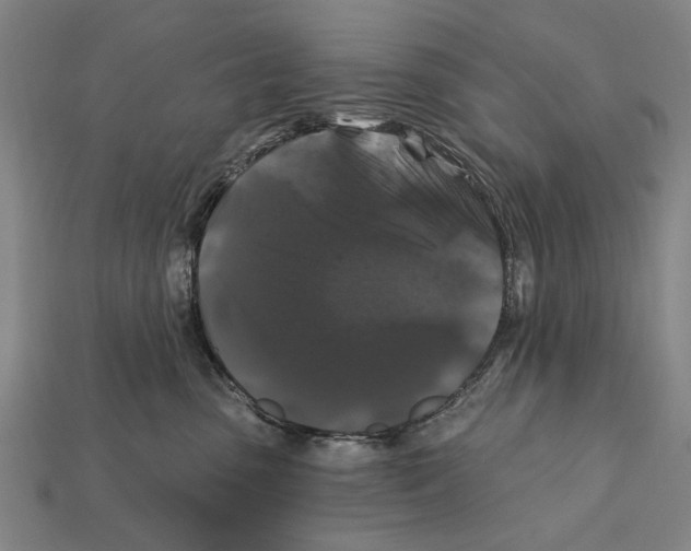 X0000112200475200909181537