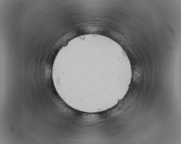 X0000112200476200909181537