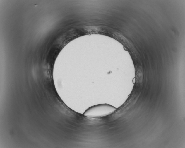 X0000112200477200909181537