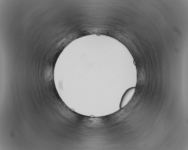 X0000112200478200909181537