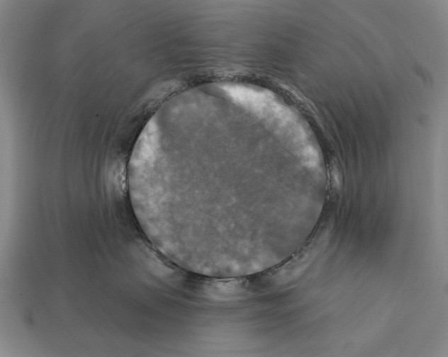 X0000112200479200909181537