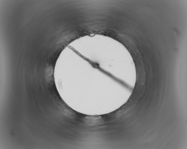 X0000112200480200909181537