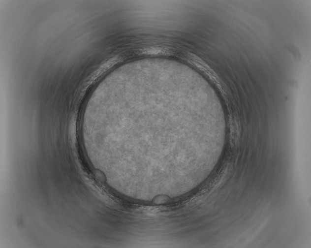 X0000112200482200909181536