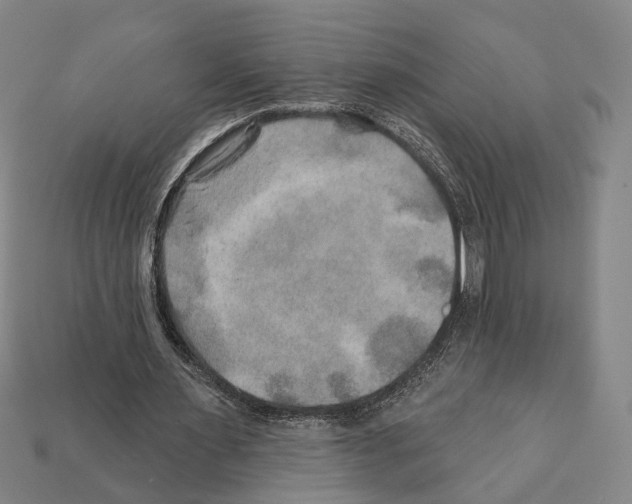 X0000112200483200909181536