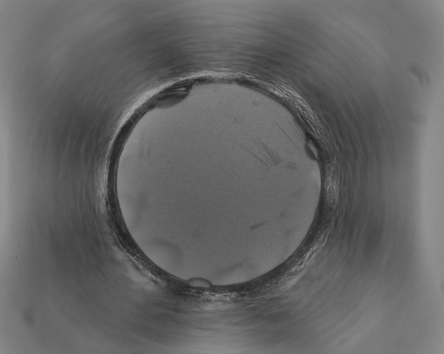 X0000112200484200909181536