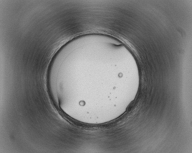 X0000112200485200909181536