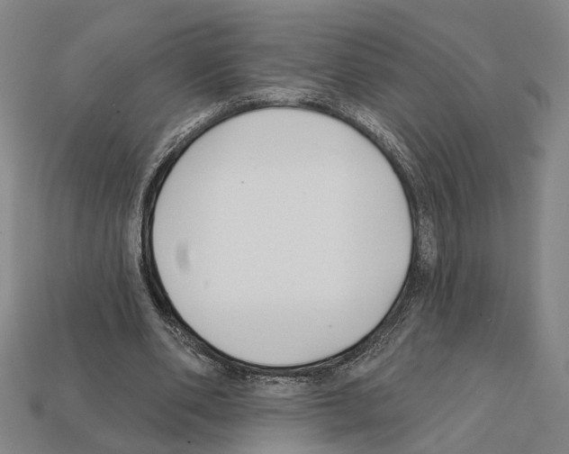 X0000112200486200909181536