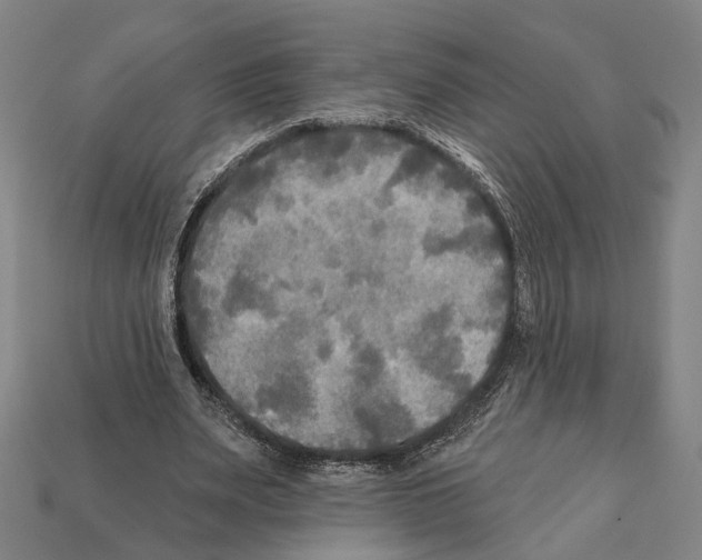 X0000112200487200909181536