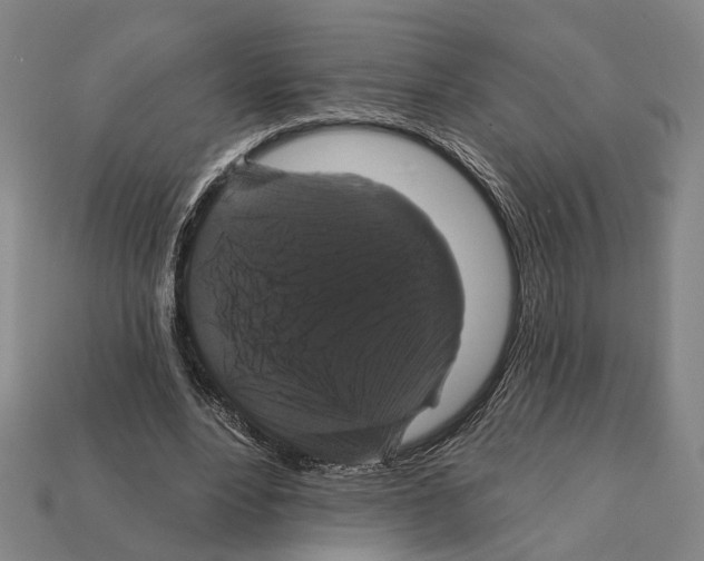 X0000112200488200909181536