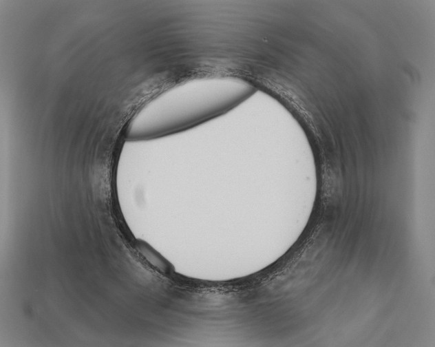 X0000112200489200909181536