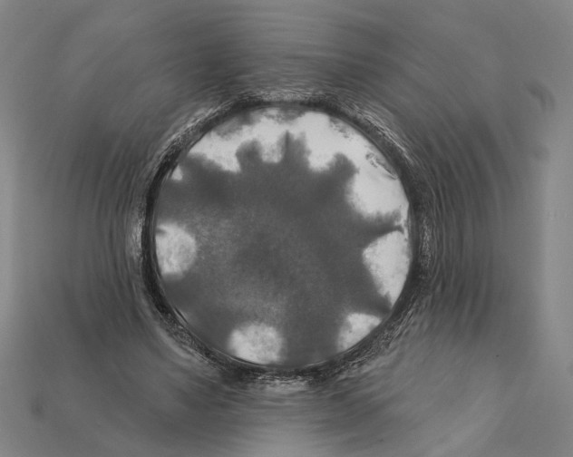 X0000112200491200909181536
