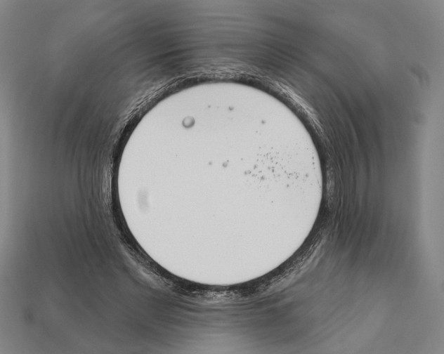 X0000112200493200909181536