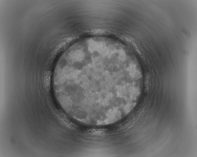 X0000112200495200909181536