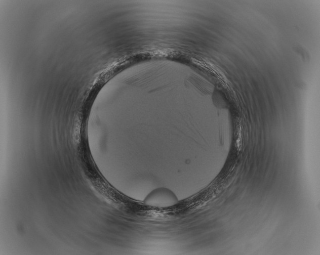 X0000112200496200909181536