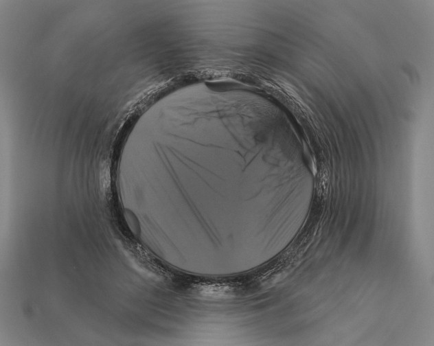 X0000112200500200909181536