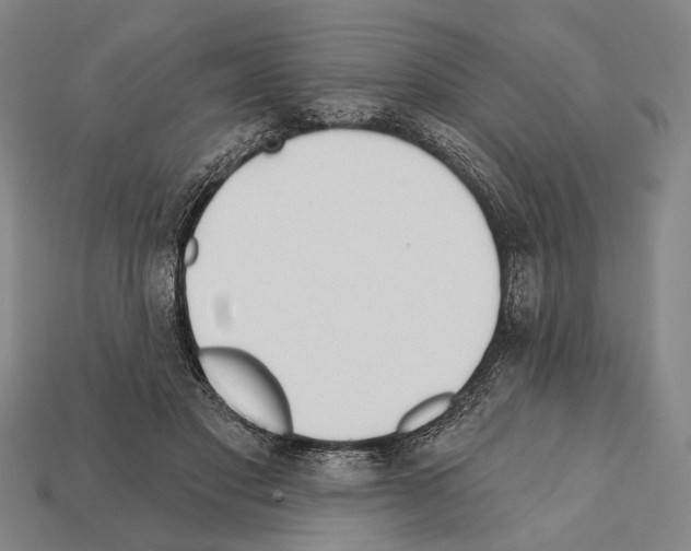 X0000112200501200909181536