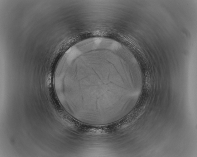 X0000112200502200909181536