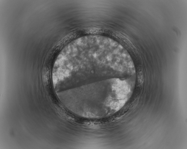 X0000112200503200909181536