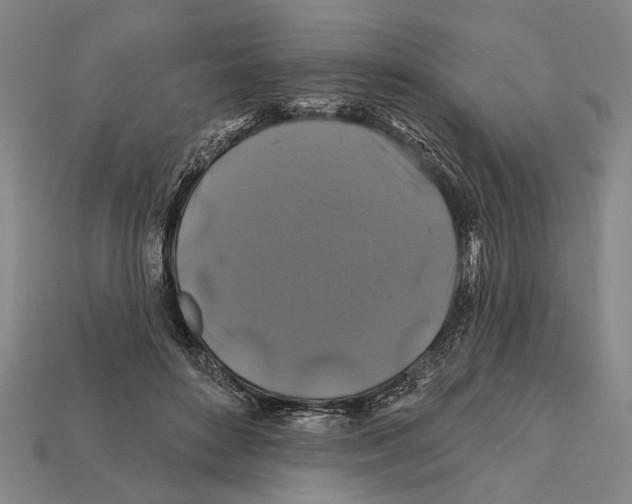 X0000112200504200909181536