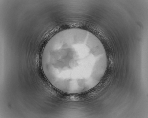 X0000112200506200909181536