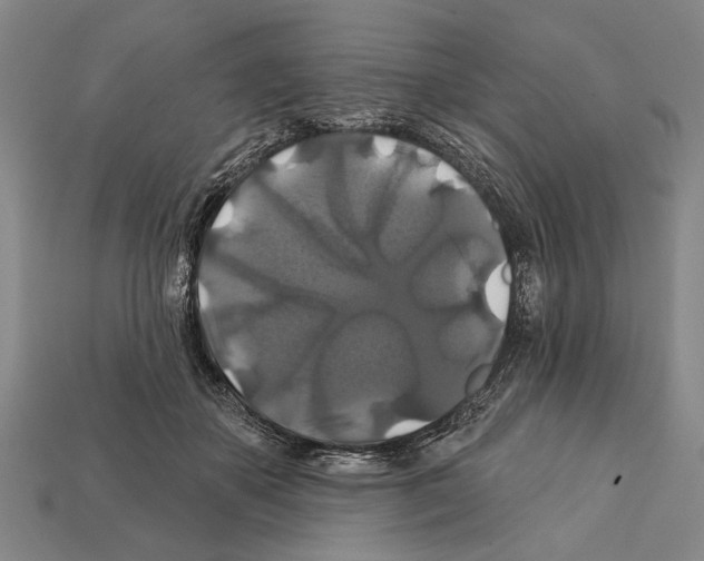 X0000112200507200909181536