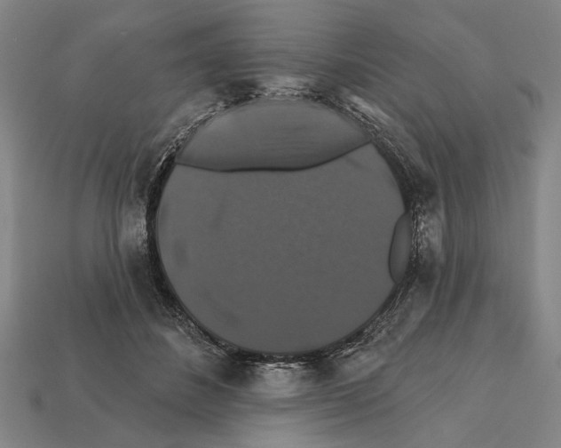 X0000112200508200909181536