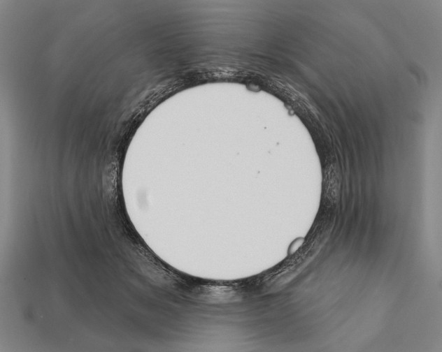 X0000112200509200909181536