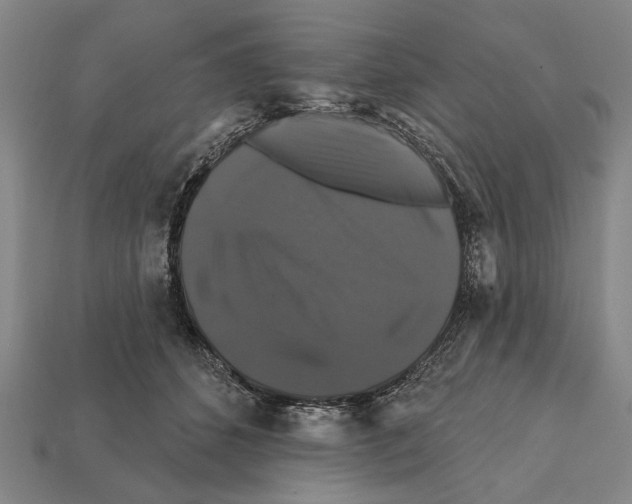 X0000112200512200909181536