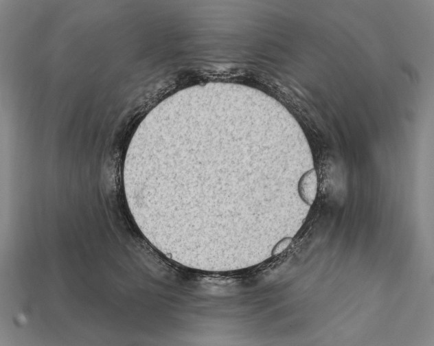 X0000112200515200909181536