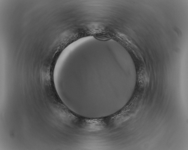 X0000112200516200909181536